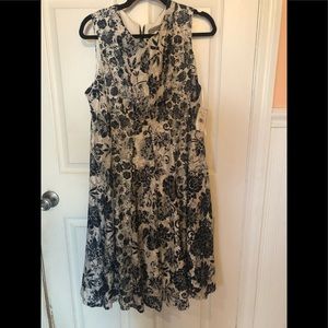 Danny & Nicole white and navy lace dress